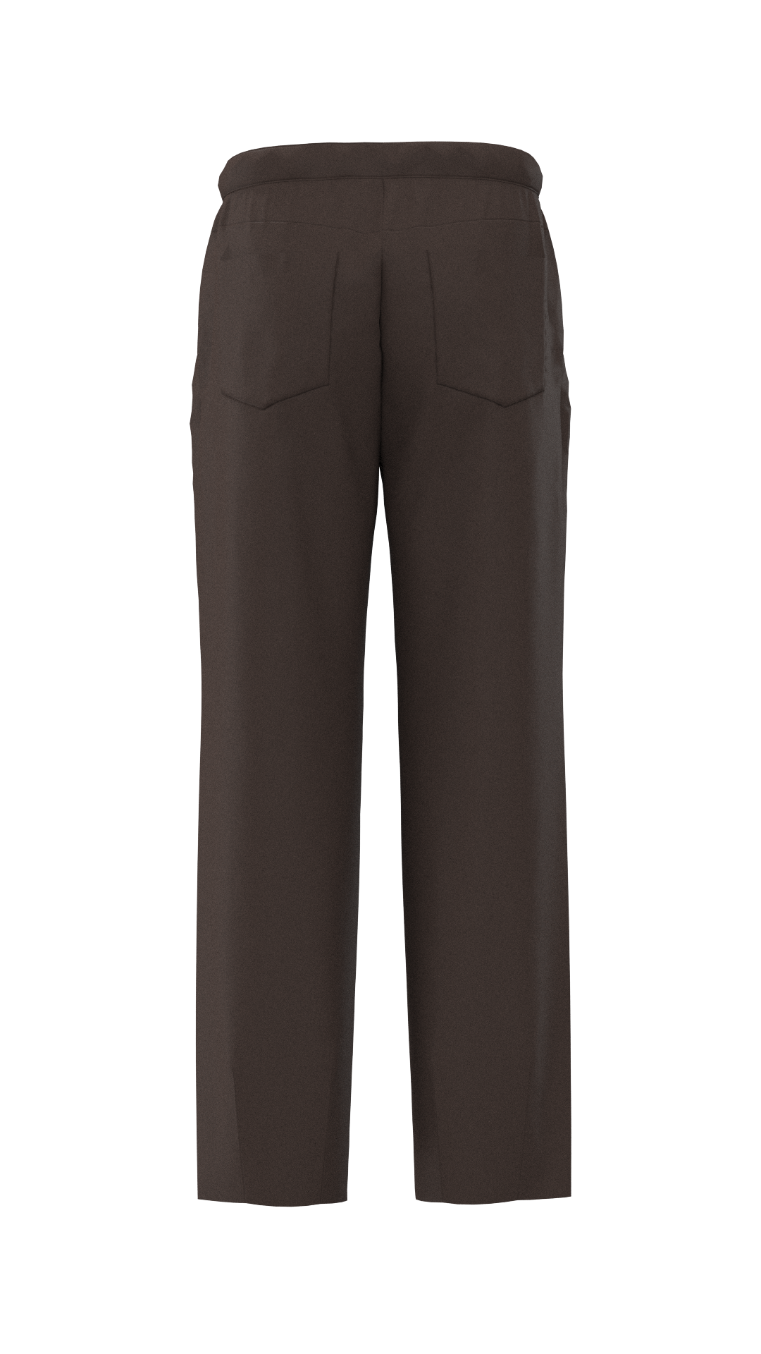 Pleated Pants